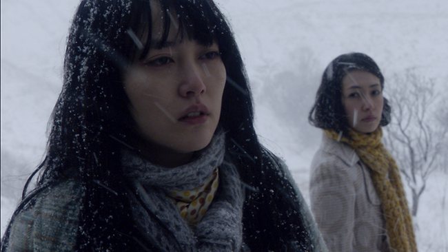 norwegian wood 3.jpg